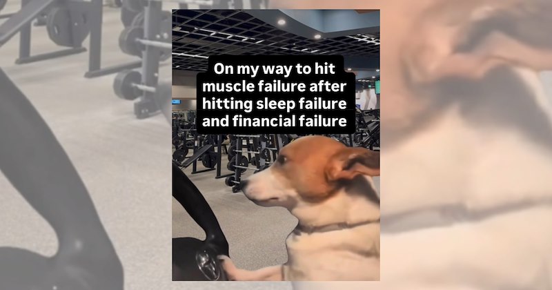 Is our body a never-ending project, or are we living in it?  Fitness influencers offer a seductive promise: that with enough discipline, protein, time, knowledge, and consistency, we can become the best version of ourselves. 