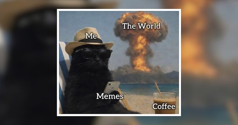 adorable life with pets feel good pets animal funny memes coffee comedy animal memes Cats pet owners wholesome animal memes animals soft animal Cats - 47124997