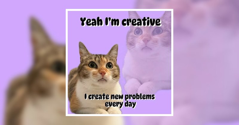 creative people creative funny memes Memes creative process comedy imagination creating funny creative memes funny creativity Funny Memes - 47125253