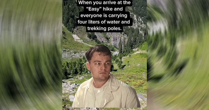 Leonardo DiCaprio hiking meme 