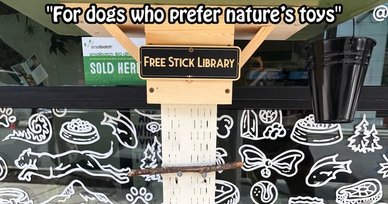 Portland’s first free library for dogs cats opens, encouraging pawrents to let their pets take toy or leave toy | thumbnail includes one image which shows a stick library ‘“For dogs who prefer nature’s toys”’ ‘Free Stick Library’