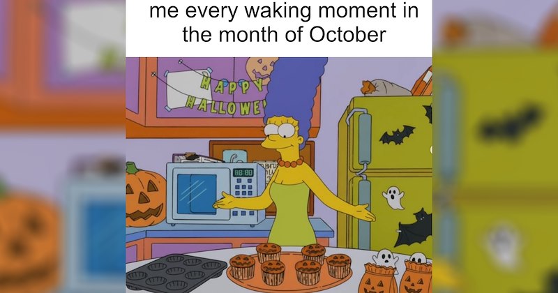 funny random memes relatable memes work memes random memes silly memes funny memes Memes meme silly funny tweets funny Funny Memes baking memes baking autumn blaze apple crisp fall - 47138821