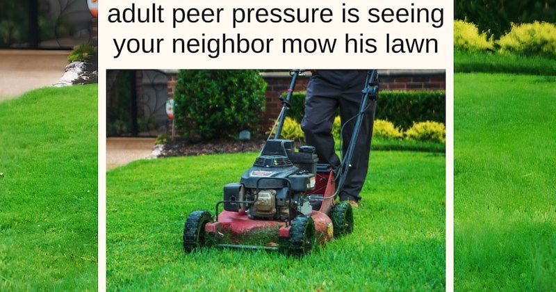 A lawn mower on the grass