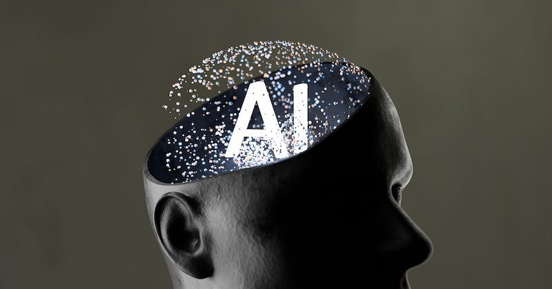 This entire AI debate has become a battle over Intellectual Identity and style  The AI vs. SI debate has made us question what it means to be human, to write like a human, or to work as a human. Once bots and agents took over our jobs or significantly changed the way we do them, we started wondering what we bring to the table.