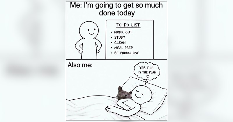 25 cat memes | thumbnail includes one meme and one picture of text including 'Me: I'm going to get so much done today TO-DO LIST • WORK OUT • STUDY CLEAN • MEAL PREP • BE PRODUCTIVE Also me: YEP, THIS IS THE PLAN' 