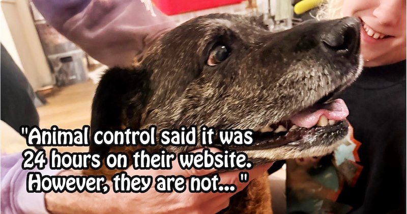 Rescuer saves dog’s life after ignoring Sheriff’s demand to dump dog, choosing cuddle it through night of pain until animal shelter opened | thumbnail includes one image which shows older black dog being petted ‘“Animal control said it was 24 hours on their website. However, they are not…”’
