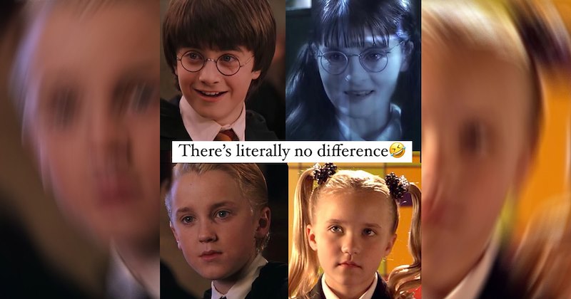 Meme of Draco Malfoy, Harry Potter, Moaning Myrte, and Emily Osment