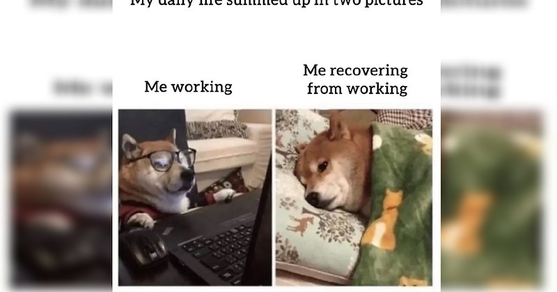 life coworkers Memes Office employment Employment - 47163653