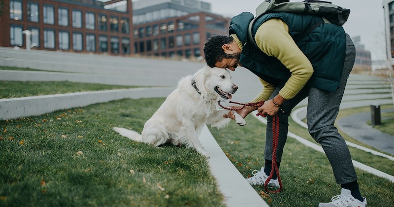 Doggos dogs woman dog owner reddit story entitled woman entitled people - 47170821