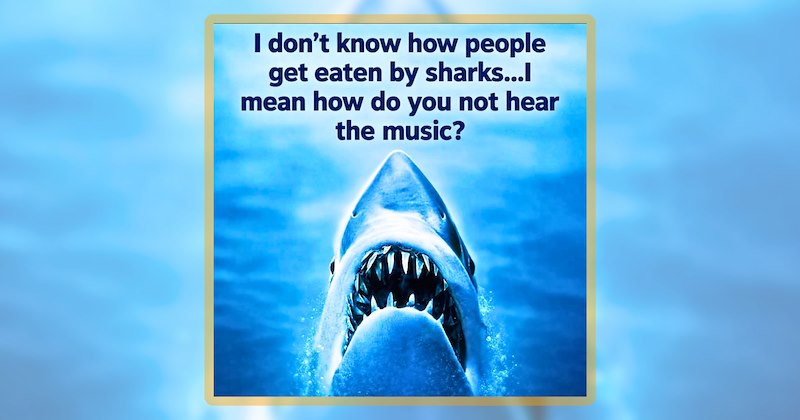 20 animal memes | thumbnail includes 1 meme including 'I don't know how people get eaten by sharks...l mean how do you not hear the music?'