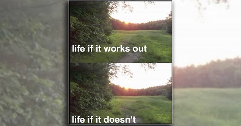 nature humor Forest Hiking gardening landscaping optimism comedy wildlife funny happiness positivity hopecore Gardening and Landscaping therapy - 47183365