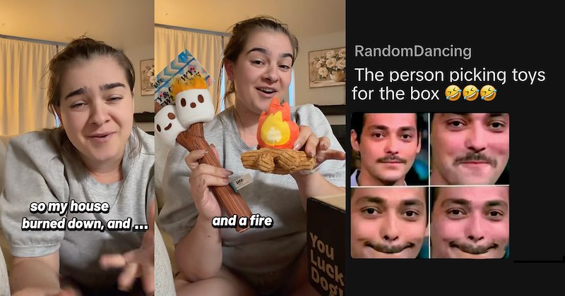 barkbox viral videos dogs pet parents house fire dark humor funny animals Animals homeowner - 47187717