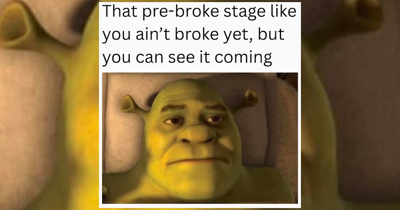 TV & Movies shrek memes watching movies jokes Movie movies funny memes Memes laughing shrek funny watching movies - 47187973