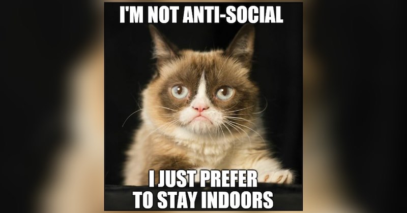 25 cat memes | thumbnail includes one meme and one picture of text including 'I'M NOT ANTI-SOCIAL I JUST PREFER TO STAY INDOORS' 