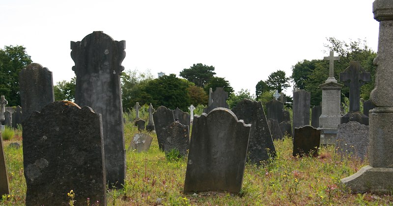irresponsible parents gravestones kids neighborhood historic place kindness of strangers tourists children playing moms local kids parenting boston parents Family - 47203845