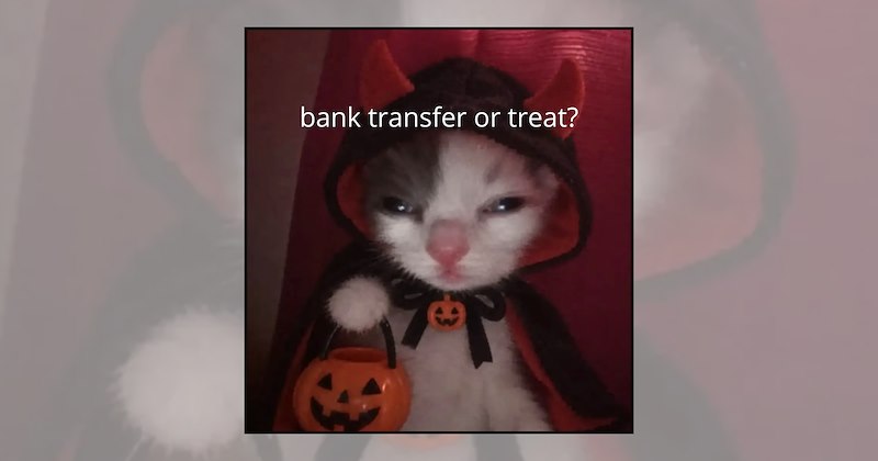 Cats funny cat memes cute cat memes funny cats relatable cat memes cat memes cat lovers halloween memes trick or treat - 47205125