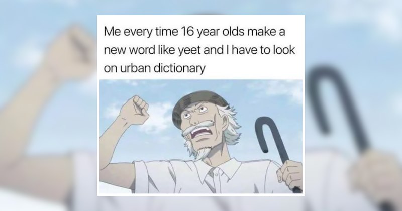 english native speakers grammar urban dictionary english funny memes dictionary words slang language meme comedy merriam webster spelling new words funny dictionary memes Funny Memes - 47219461
