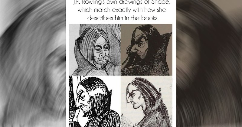 JK Rowling's drawings of Severus Snape