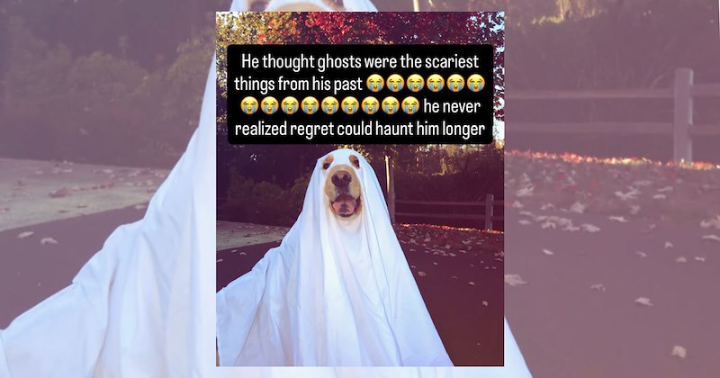 Instead of worrying about the life we wish we had lived, we can create a new life we’re excited to participate in  If this Halloween our house is haunted with ghosts from the past, there is something we can do for them to find the light and leave our human plane.
