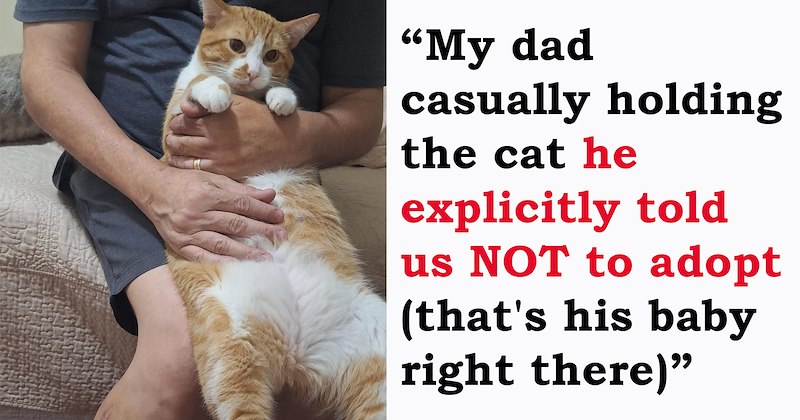 stories of cats getting adopted | thumbnail includes one picture of a man holding a ginger cat in his lap 'My dad casually holding the cat he explicitly told us NOT to adopt (that's his baby right there)'