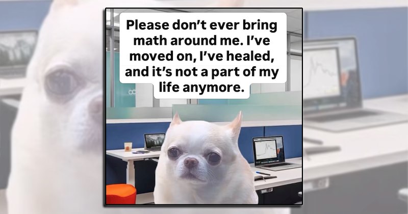 mathematics formulas funny memes math memes math exams Memes maths numbers comedy solutions equations funny math problems algebra Area Funny Memes - 47244293