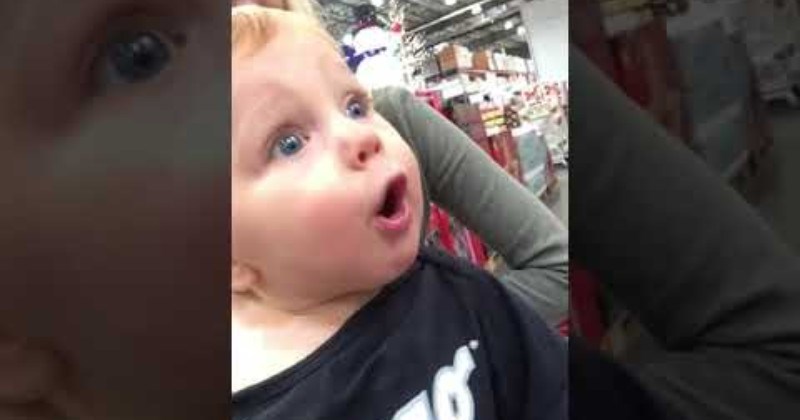 Cheezburger Image 89225473